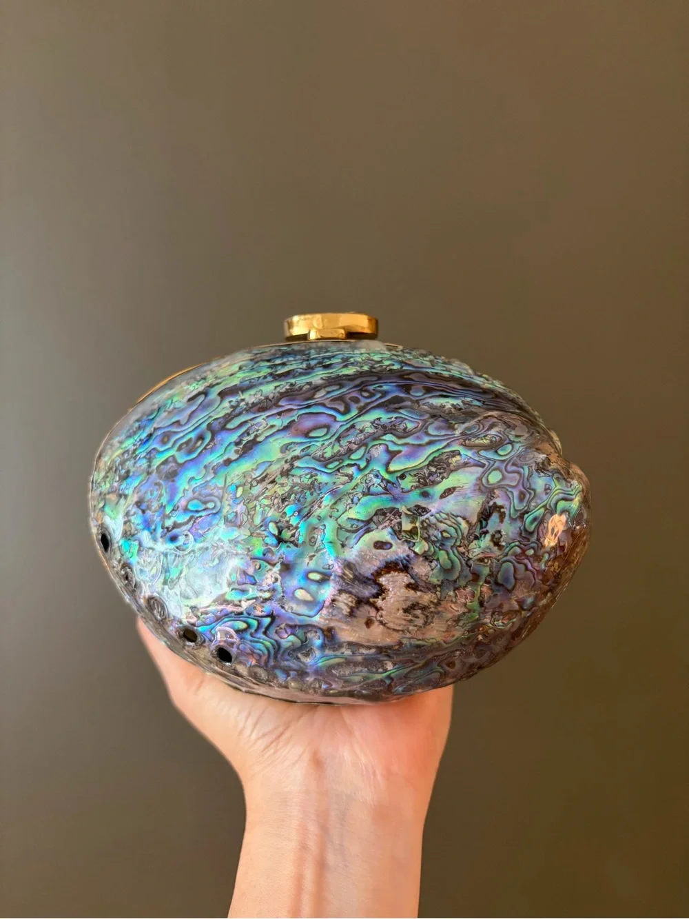 Gold Abalone Shell Minaudière Shoulder Bag